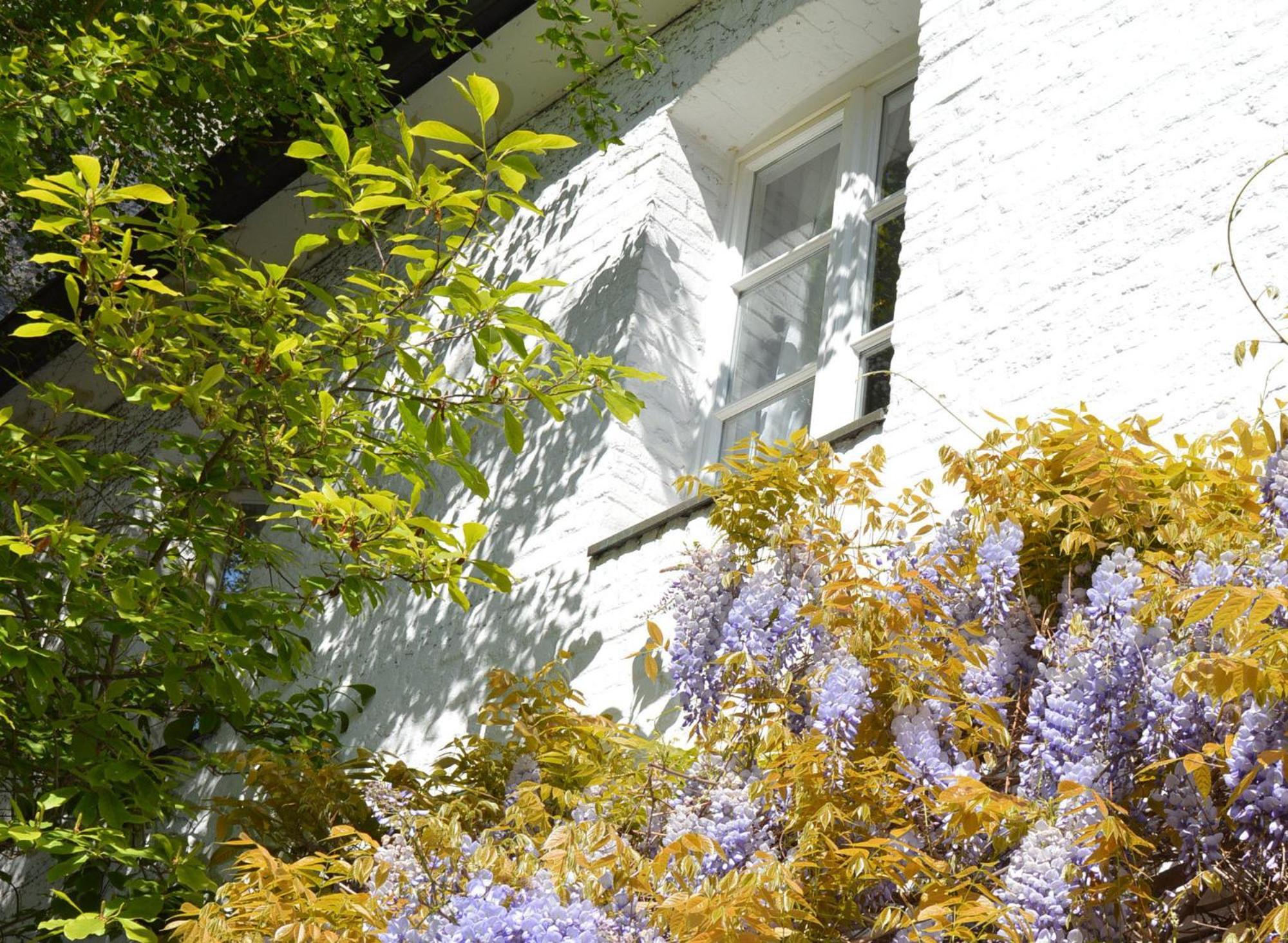 Epic Location Apartment Dusseldorf Exterior photo